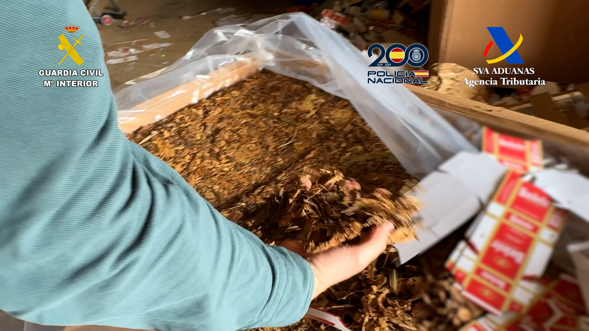 Tabaco incautado